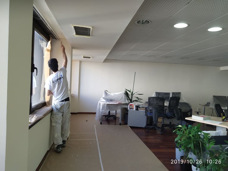 manitas empresa pintor