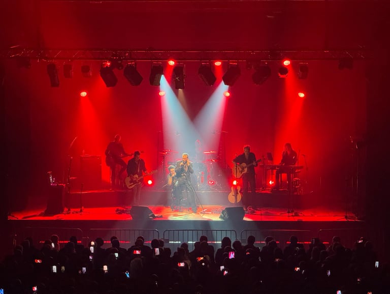 prestataire lumière concert nord