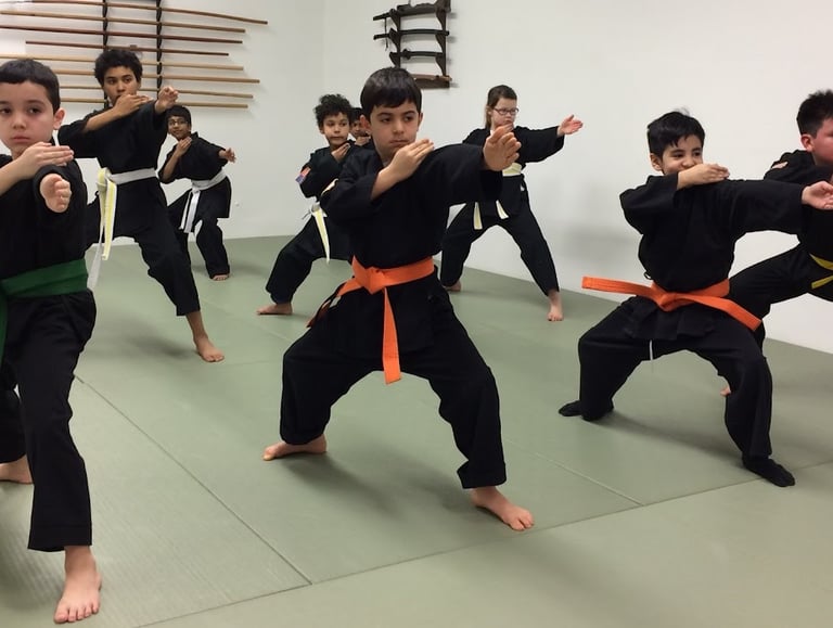 kids martial arts