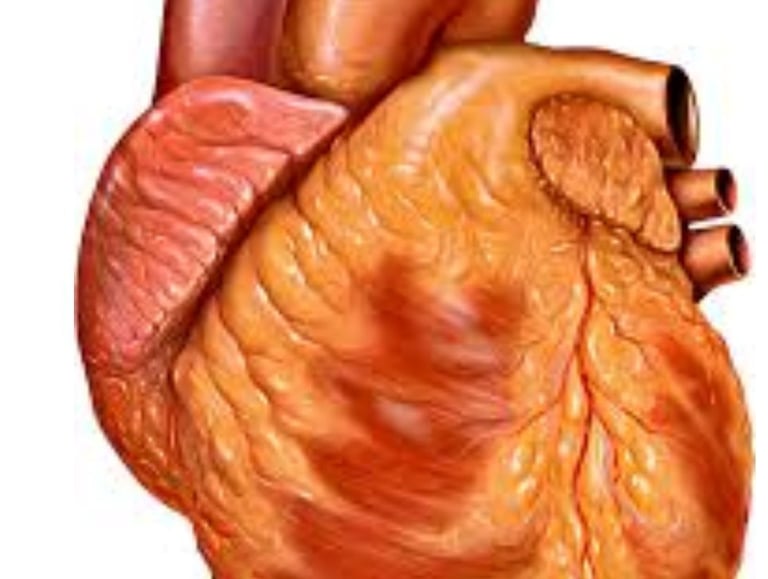 High heart index usually means that the heart has become enlarged