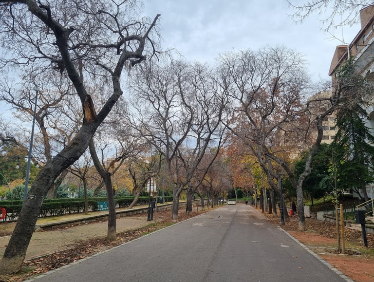 Jaen centro l Asociación de vecinos. Paseo de las Bicicletas en Parque de la Concordia. Victoria