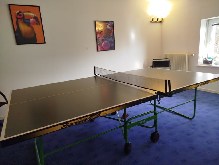 table de ping-pong