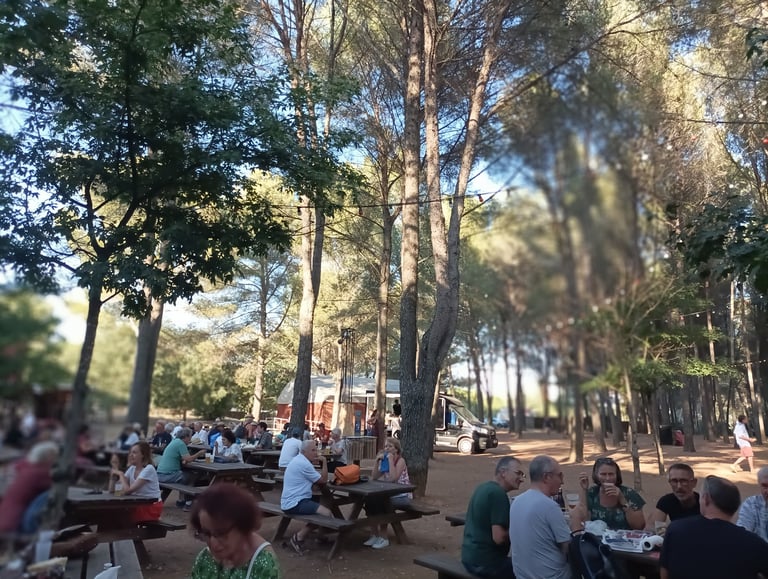 Picnic tables