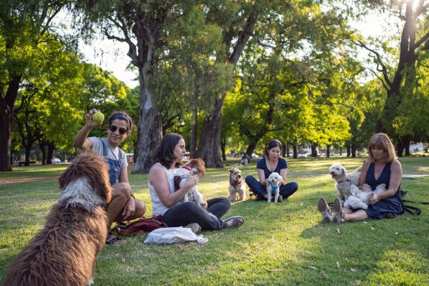 Un grupo de mujeres se relajan en un parque soleado con sus pequeños perros en el pasto