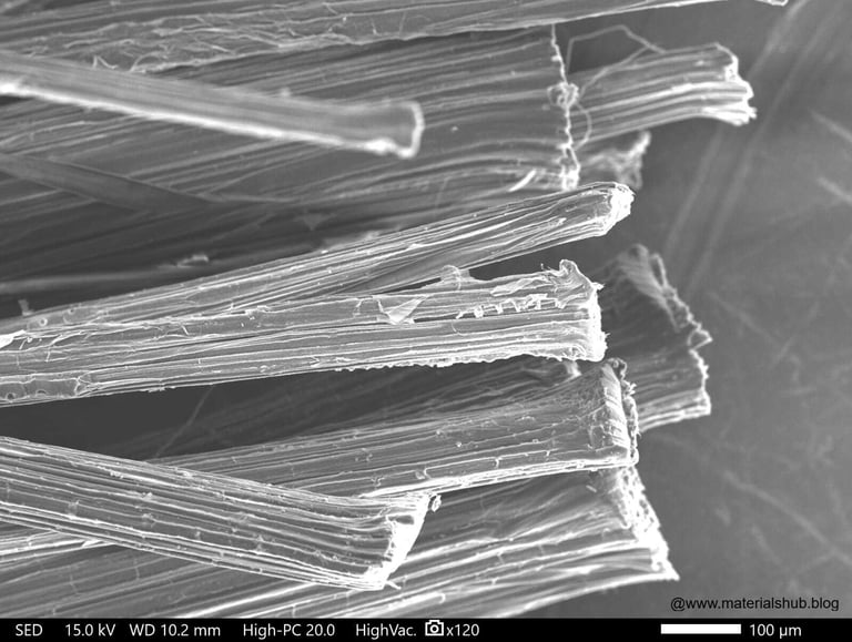 Microstructure of a natural fiber