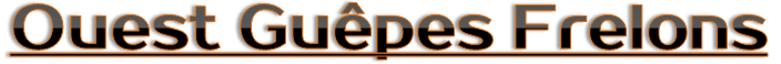 le logo ouest guêpes frelons