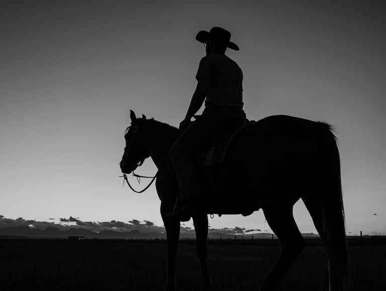 a silhouette of a man in a cowboy hat riding a horse