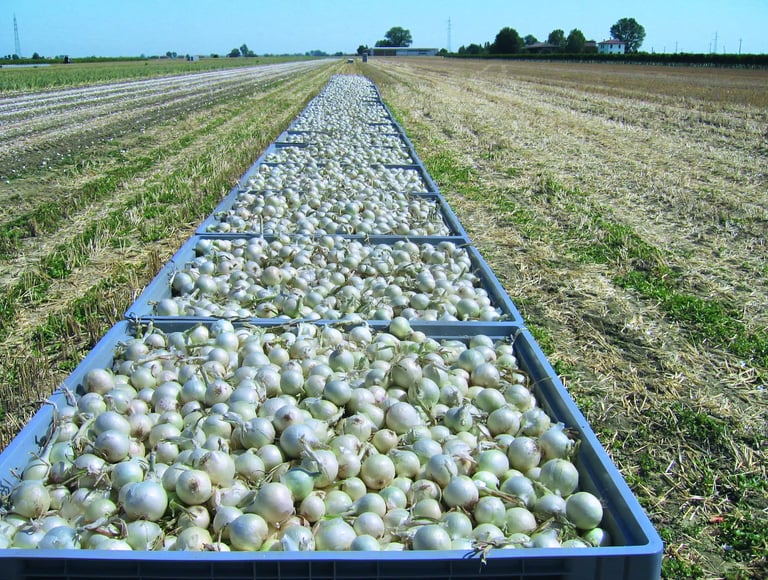 Farm-Sourced Raw Materials