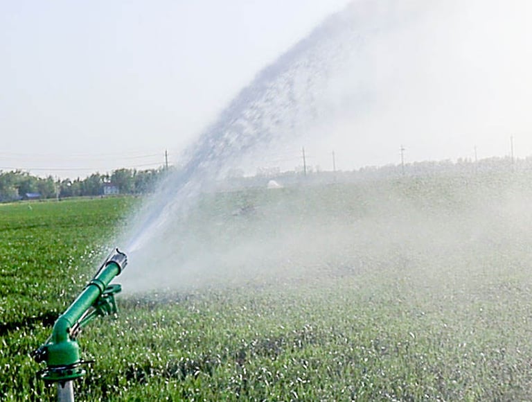 Landscape Irrigation Services in Rajahmundry