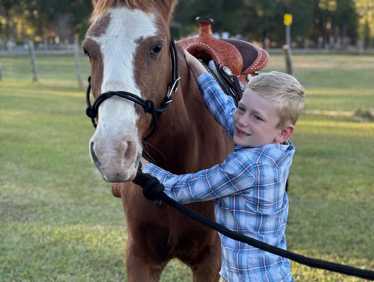 Smiling first grade cowboy hugging Snickers at a pony ride birthday party