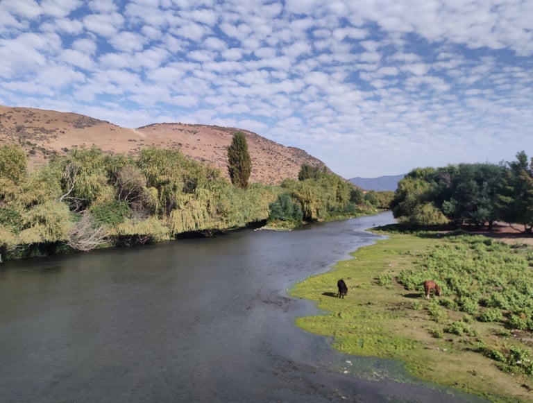 estero Zamorano, humedales, San Vicente