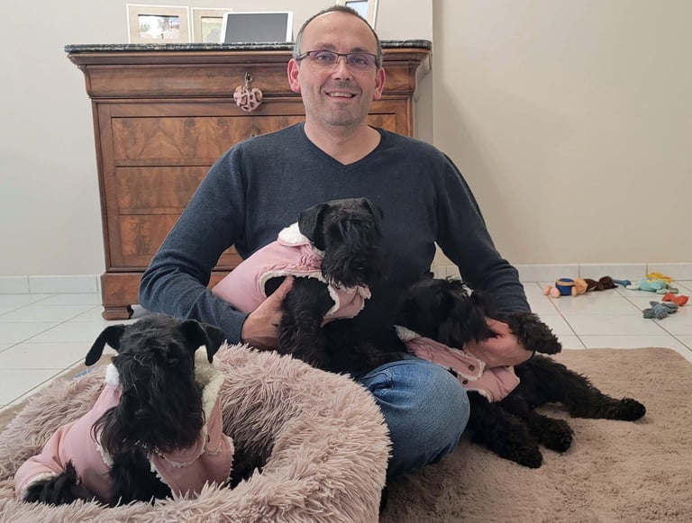 Eleveur et ses femelles Schnauzers