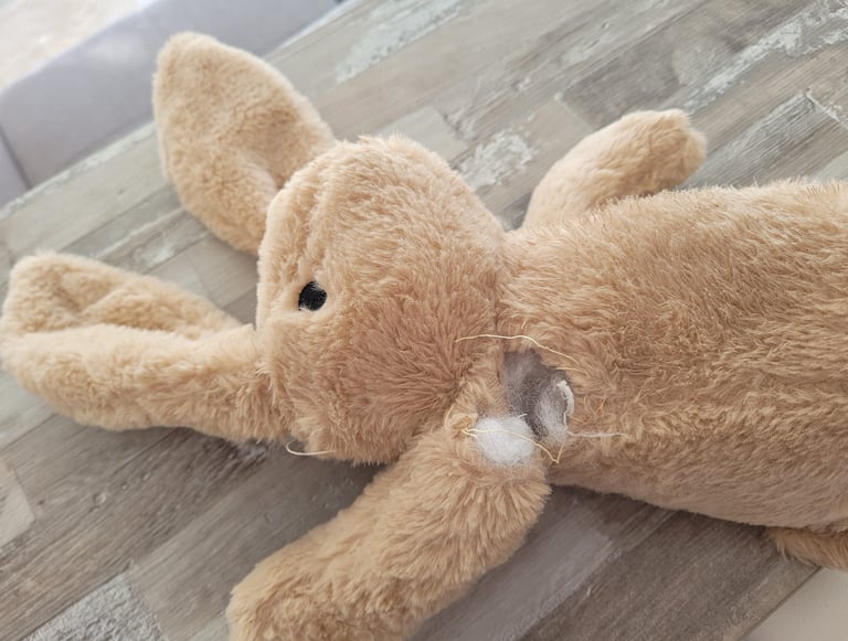 Exploit de nos Schnauzers 