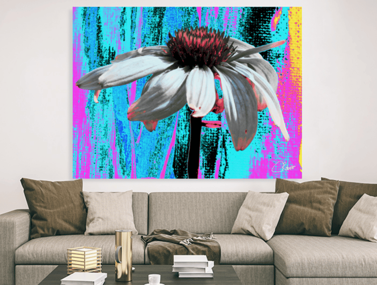 Image of Echinacea flower up close on a coloured background on a canvas print