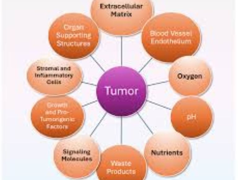 Fasting and Tumor Lysis Syndrome
