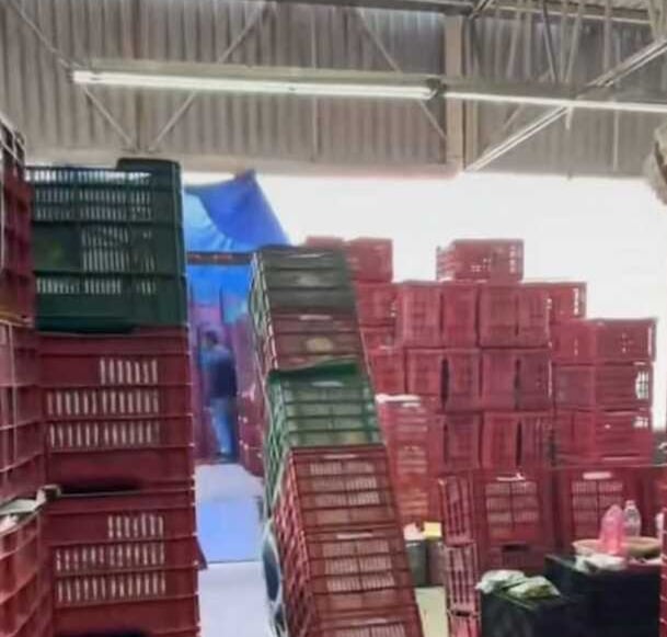 "Almacén de distribución con cajas de plástico apiladas, reflejando el proceso logístico de Coyotes