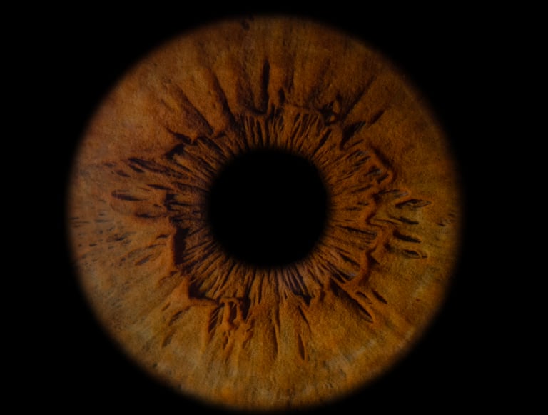 The Oculis Grafik Tasarım