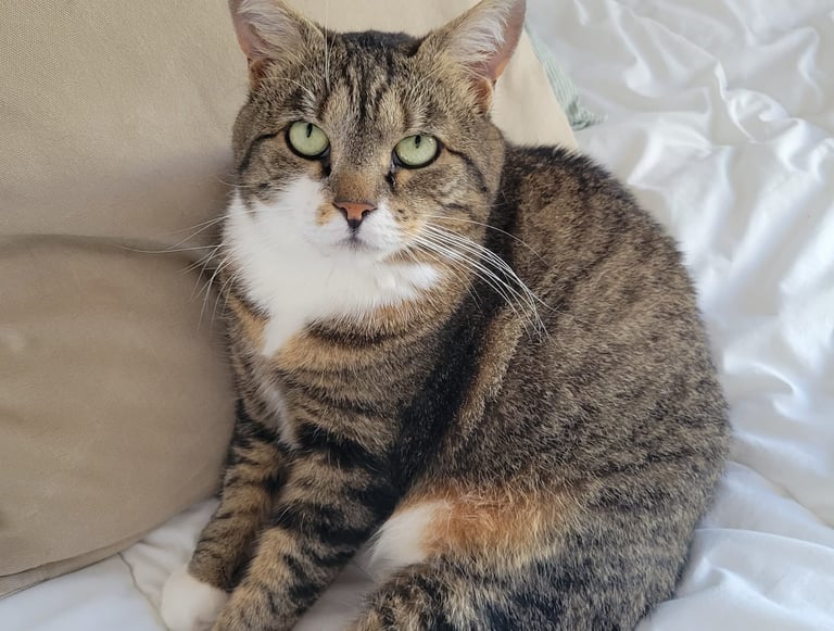 Nina-assistante voyage