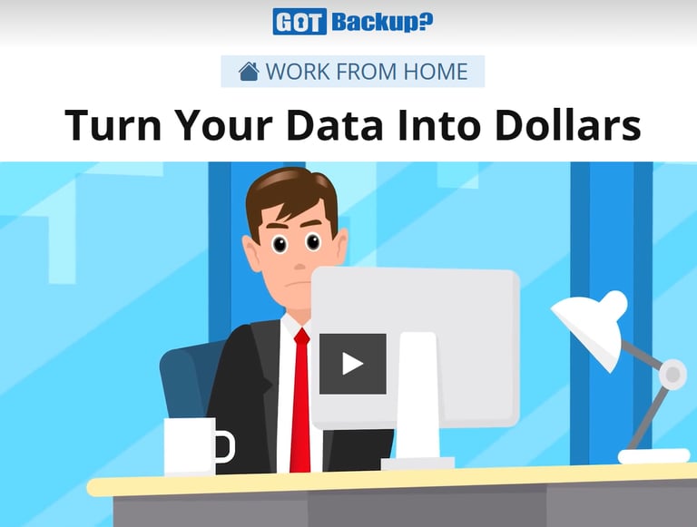 GotBackup - turn your data into dollars
