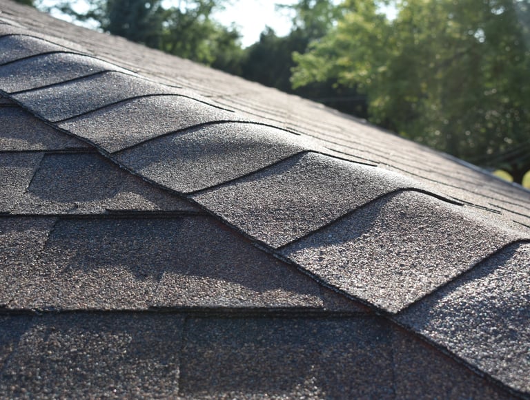 Atlas Shingle Roof