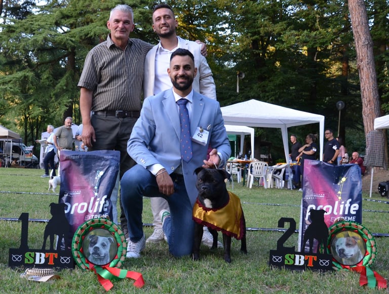 Raduno Sit Pavia Staffordshire bull terrier Grecalestaffs