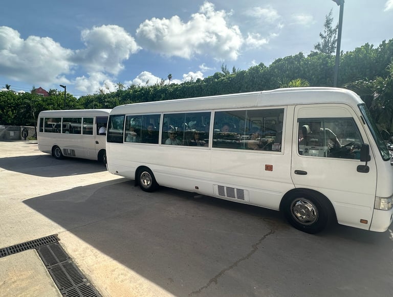 sunset transport buses