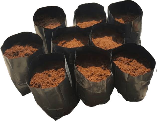 Cocopeat dalam polibeg