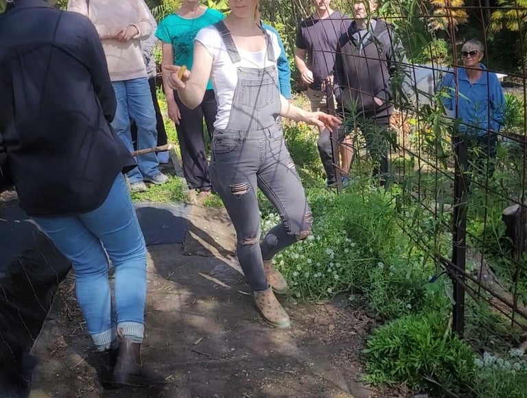 food forest workshop