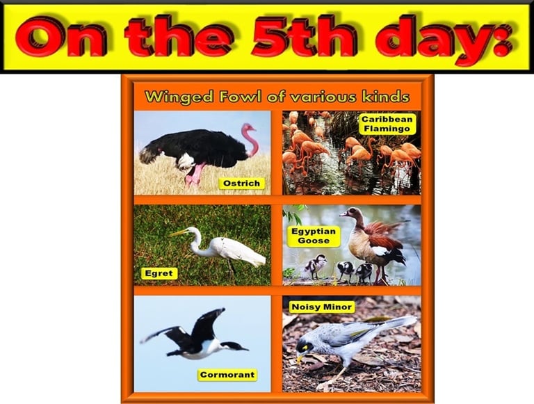 Birds of the air on the 5th day designed by Debbie Dunn using PowerPoint & Paint