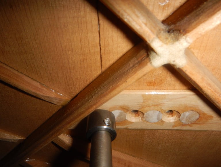 Acoustic Guitar Bridge Plate Repair