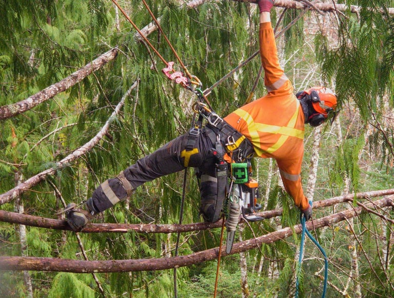 Climbing Arborists