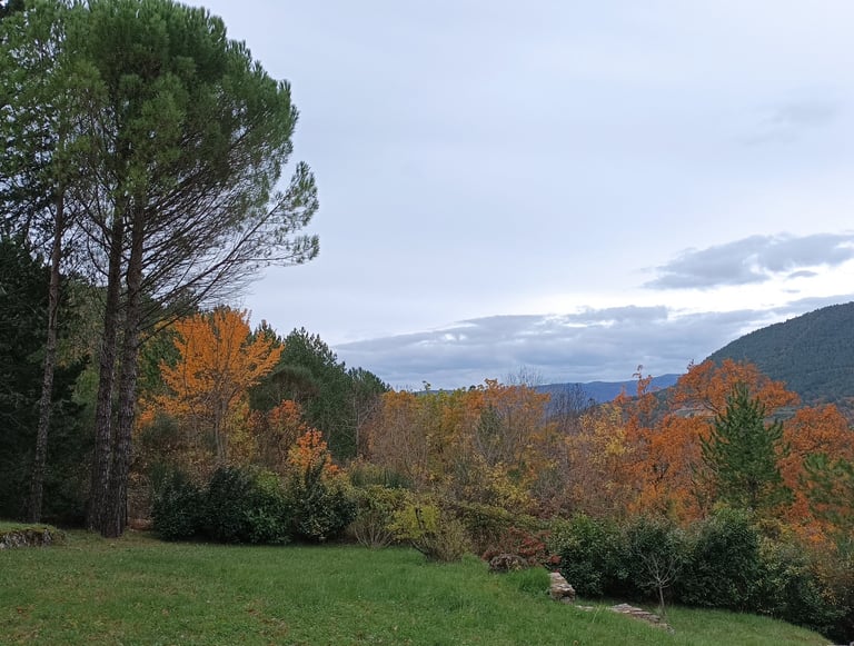 The view from our window