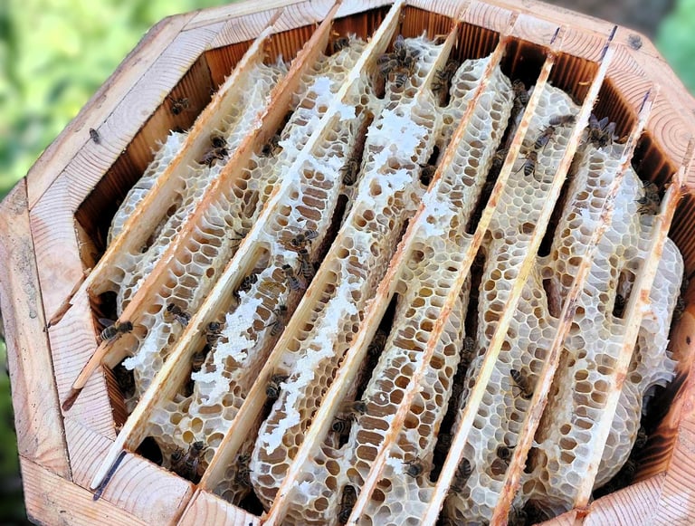 Žolynų medus koryje – poliflorinis, visiškai natūralus lietuviškas medus, surinktas iš laukinių pievų augalų, žiedų.