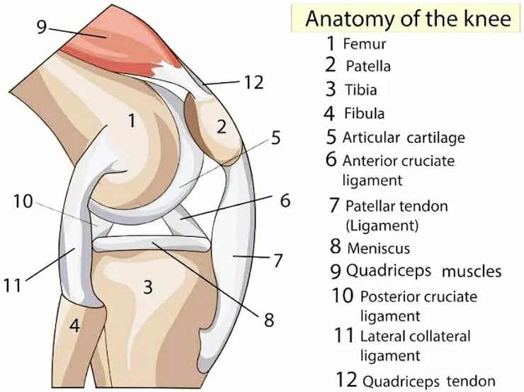Vetrivel Health center best chiropractic and varamam theraphy 