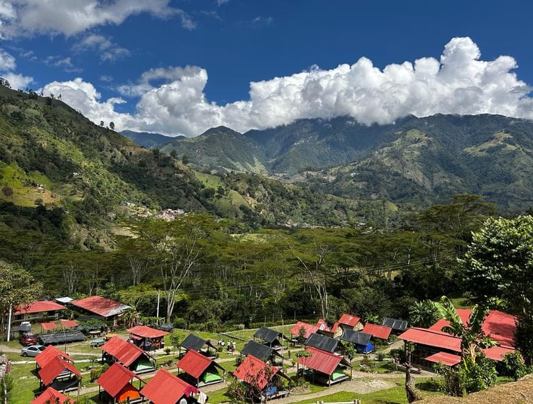 Zona de Camping, La Elisa Cajamarca Tolima