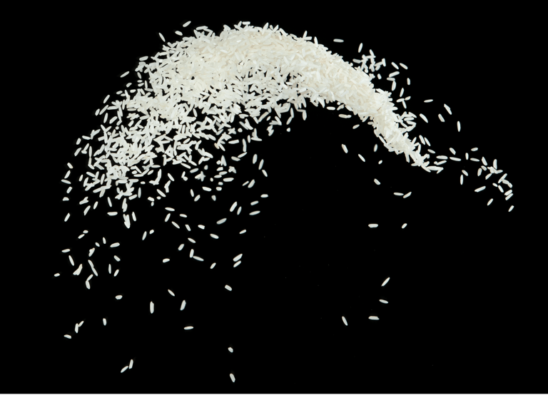 Rice - WEARE OCEAN EXPORT
