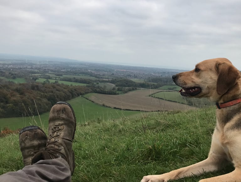Photograph of man and dog on the South Downs