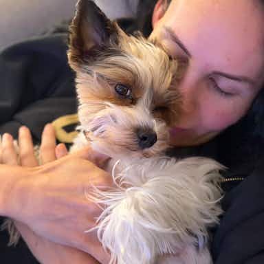 Nuevo miembro de la familia adoptado.