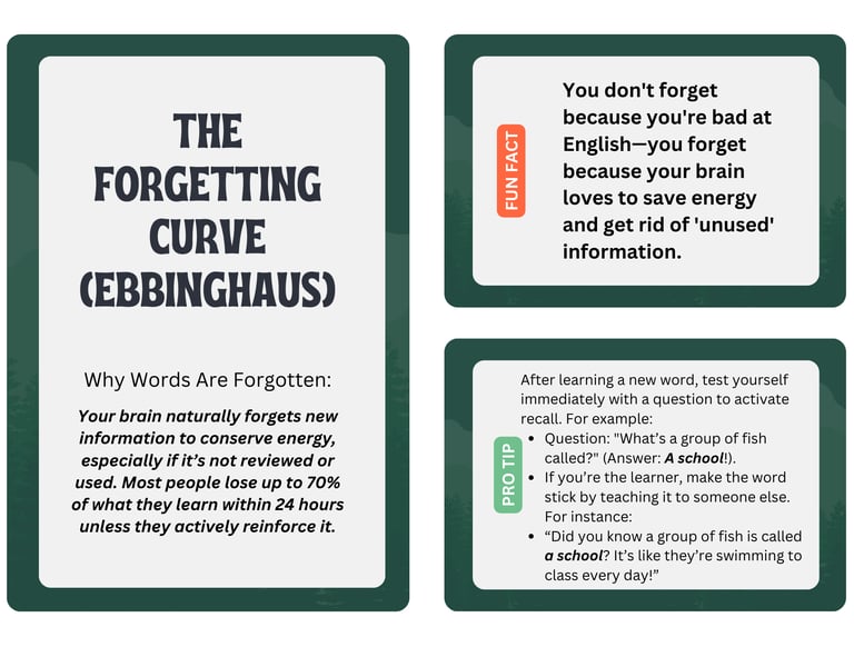 forgetting curve