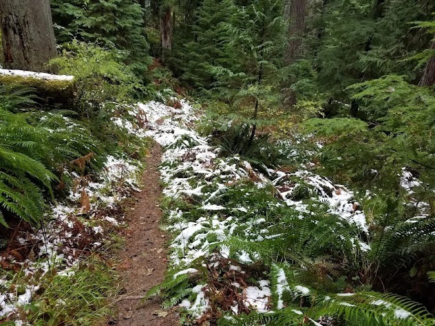 Powers OR - Coquille River Falls trail with snow on the ground