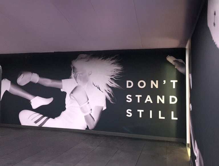 Vienos dalies interjero sienų grafika DECOSONA – unikalūs sienų raštai ir iliustracijos