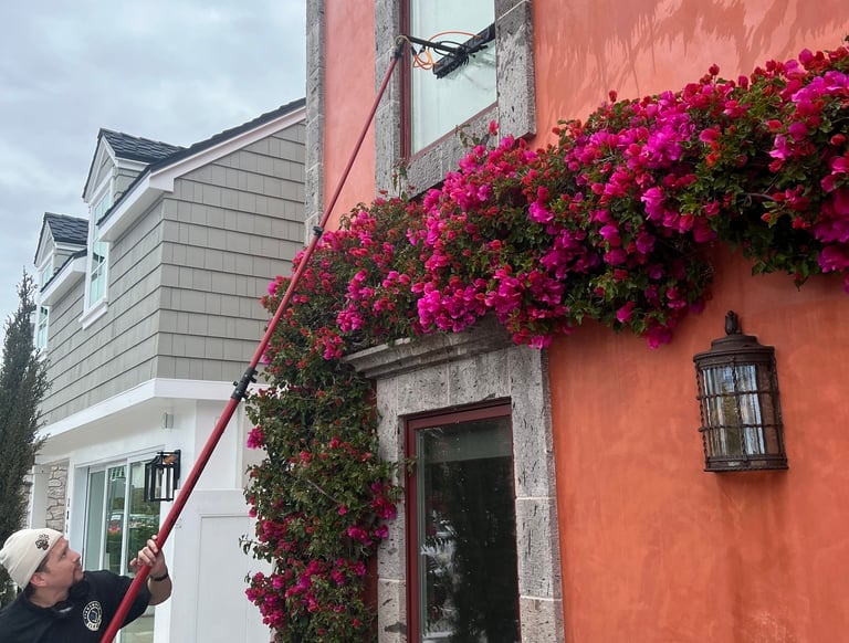 Professional window cleaner using a water-fed pole system on a terracotta house with pink flowers.
