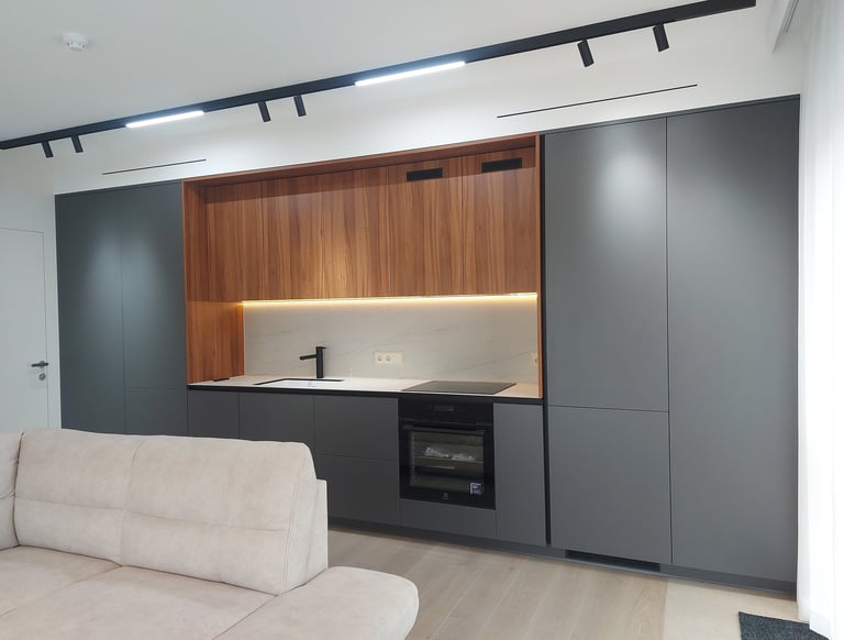 šviestuvų, kištukinių lizdų, jungiklių montavimas