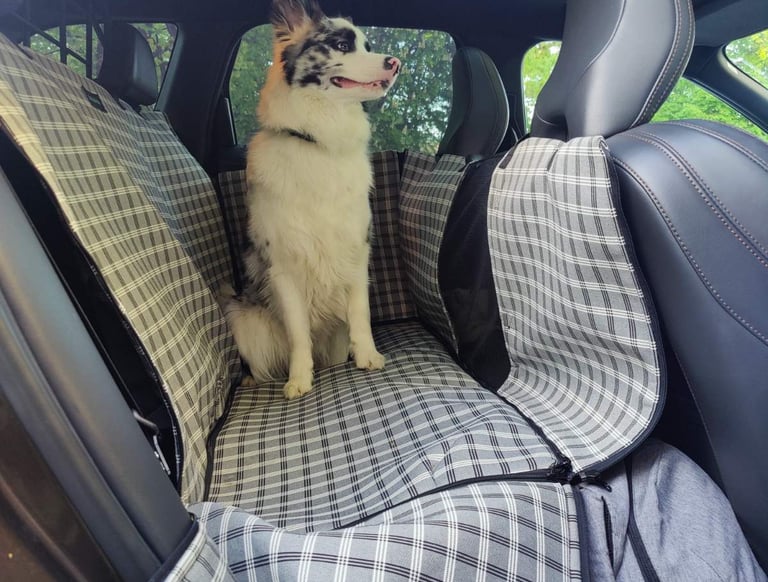 Automobilio galinių sėdynių uždangalas Betabora