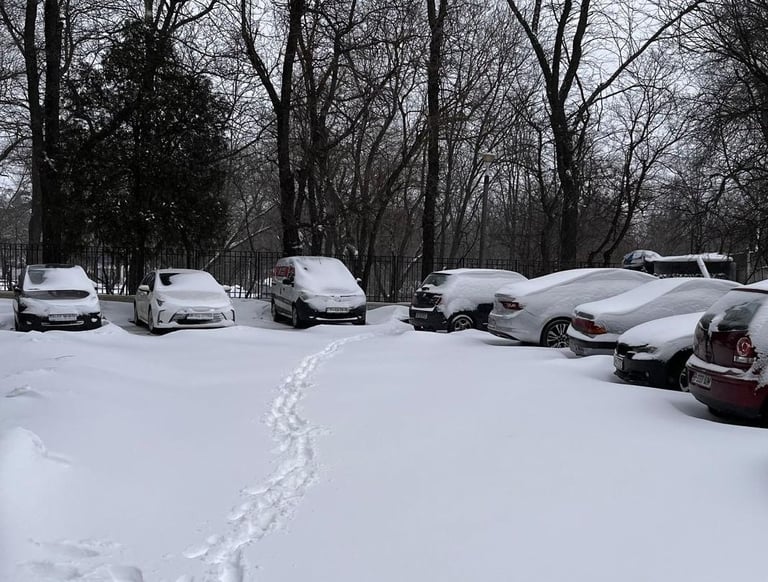 Job done, path done, dinner done, winter not so much