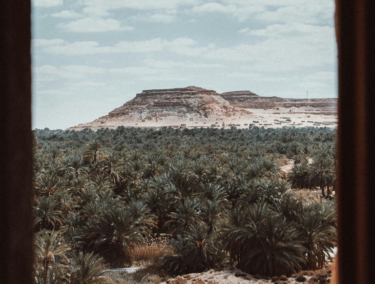 Siwa Oasis, Matrouh Governorate, Egypt, courtesy of Dajana Reçi on pexels