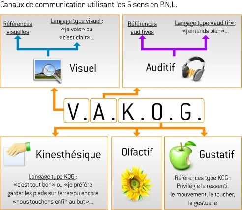 Ecrit en gros : V.A.K.O.G. visuel auditif kinesthésique olfactif gustatif