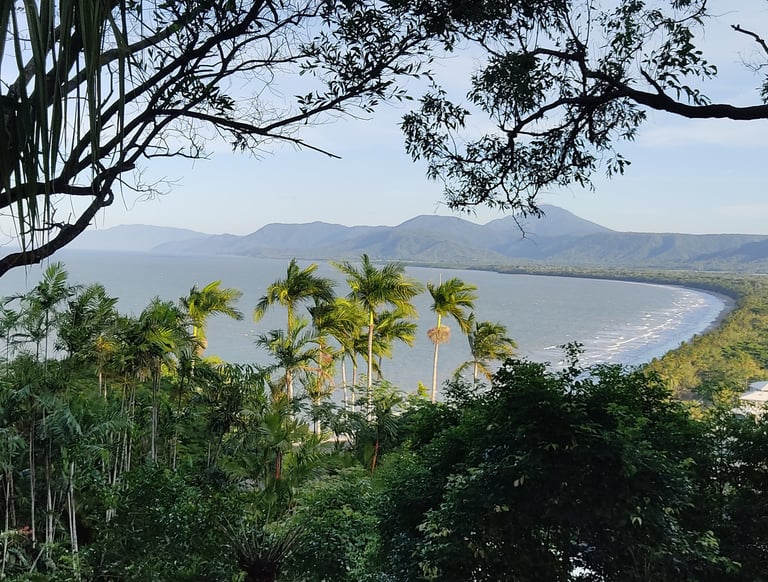 Mountain top view of Port Douglas in Cairns with palm trees and the ocean view, tropical summer