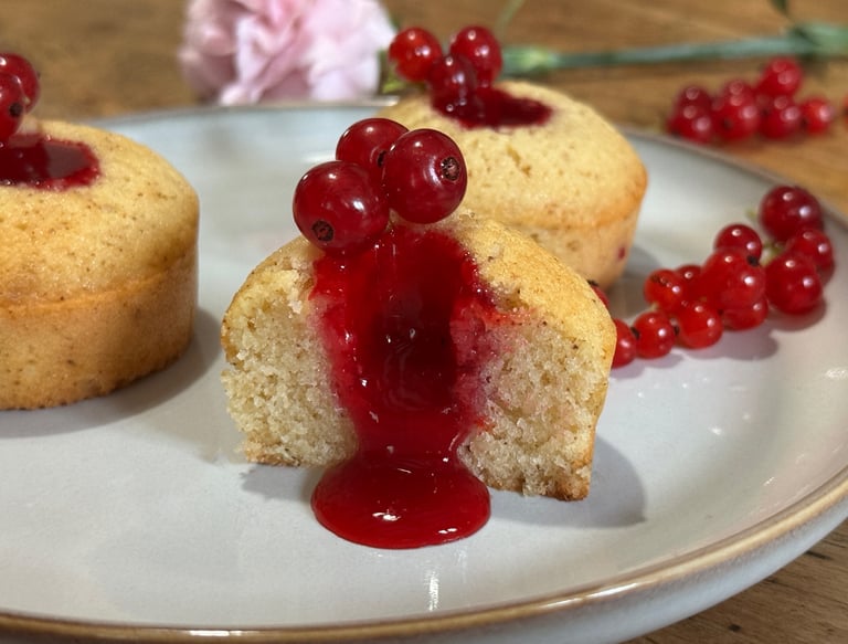 financier groseille