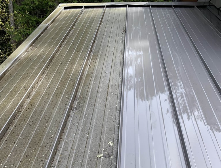 Roof Cleaning Powell River Qathet